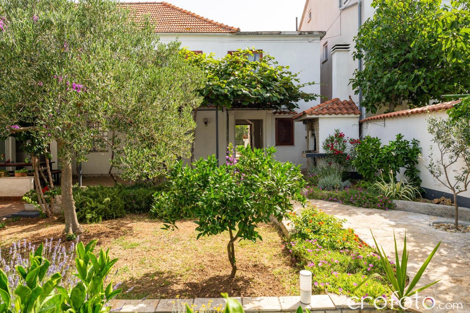Vinka Apartamento Biograd Na Moru Exterior foto